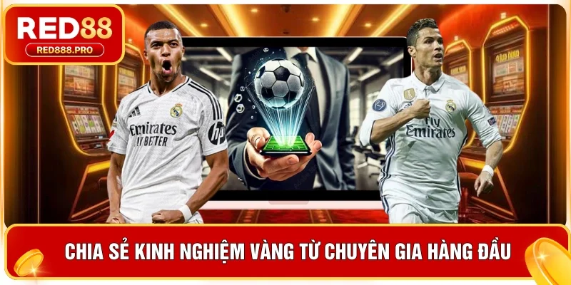 Chia sẻ kinh nghiệm vàng từ chuyên gia hàng đầu