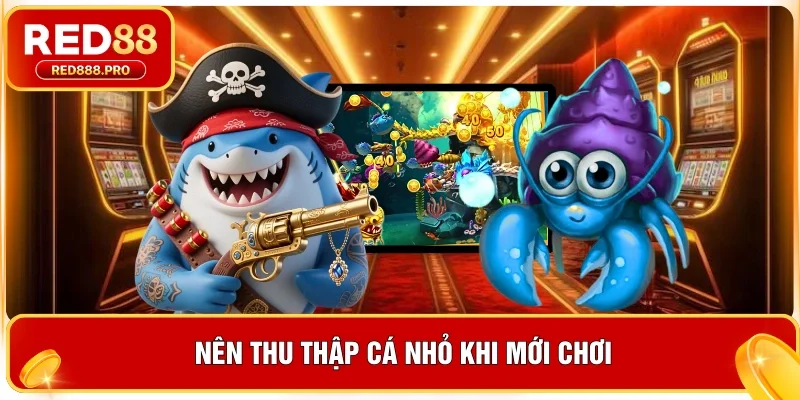 Nên thu thập cá nhỏ khi mới chơi