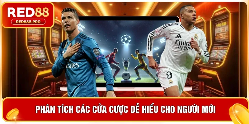 Phân tích các cửa cược dễ hiểu cho người mới