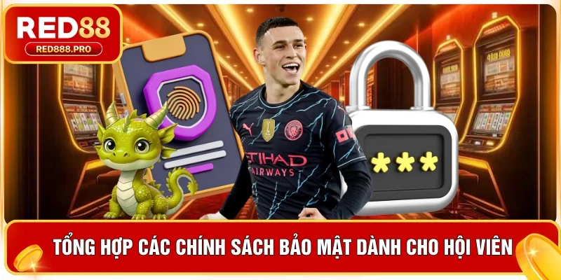 Tổng hợp các chính sách bảo mật dành cho hội viên